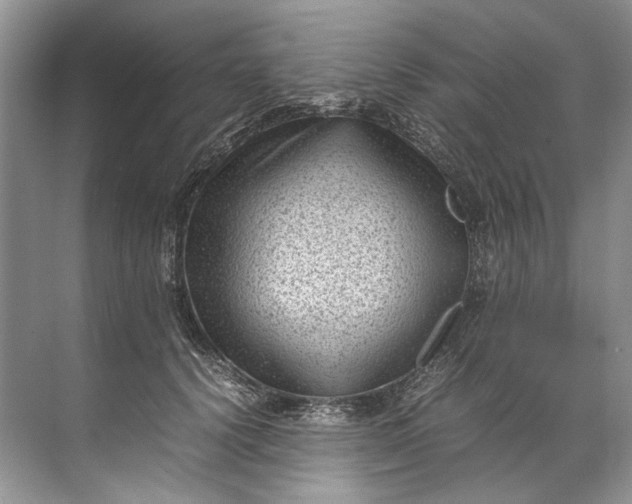 X0000072530656200607290225