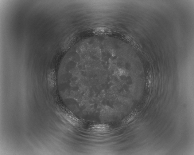 X0000072530659200607290225