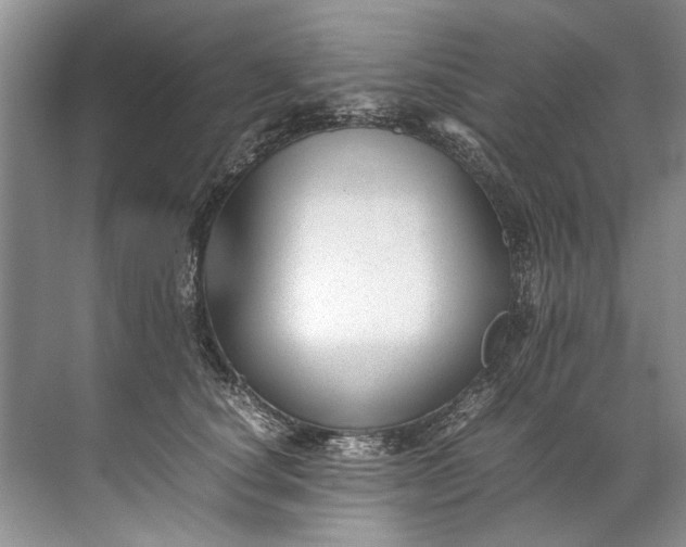 X0000072530660200607290225