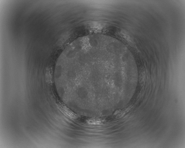 X0000072530661200607290225