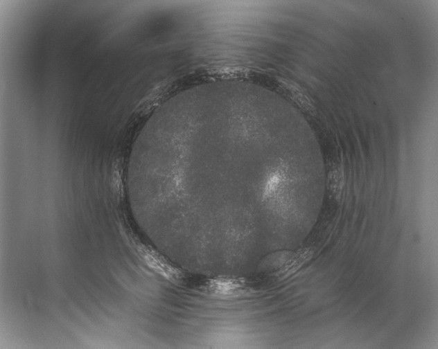 X0000072530662200607290226