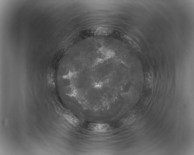 X0000072530663200607290226