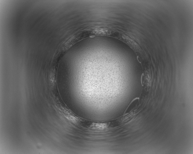 X0000072530665200607290226