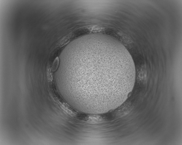 X0000072530666200607290226