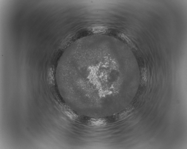 X0000072530667200607290226