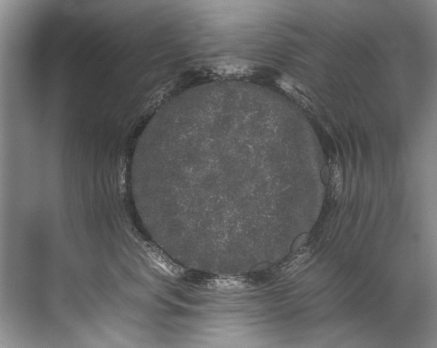 X0000072530668200607290226