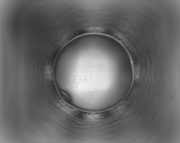 X0000072530669200607290226