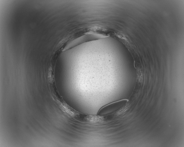 X0000072530670200607290226