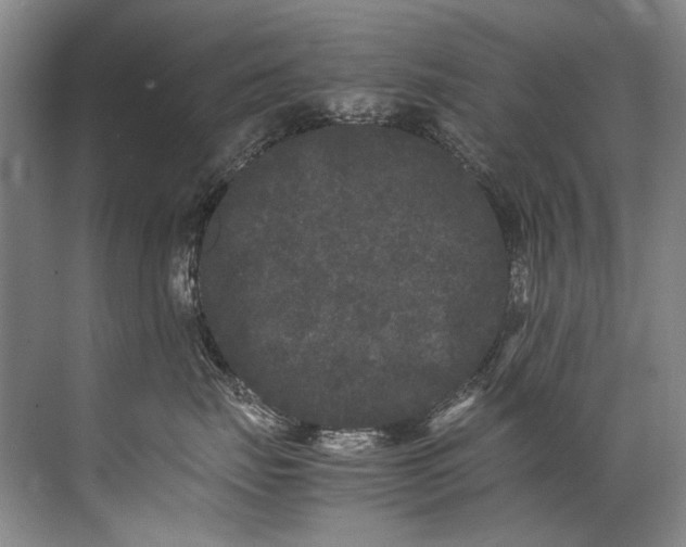 X0000072530671200607290226