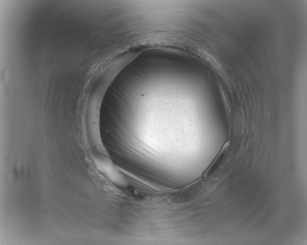 X0000072530673200607290225