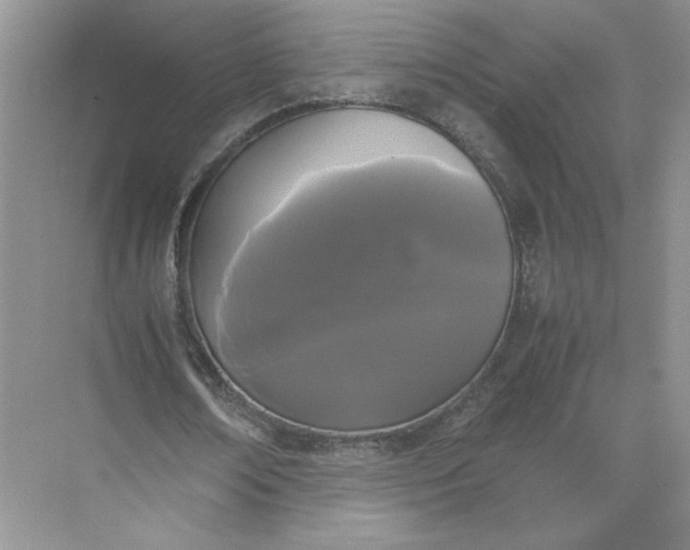 X0000072530674200607290225