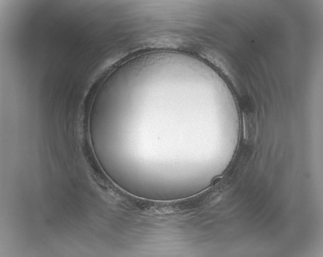 X0000072530675200607290225