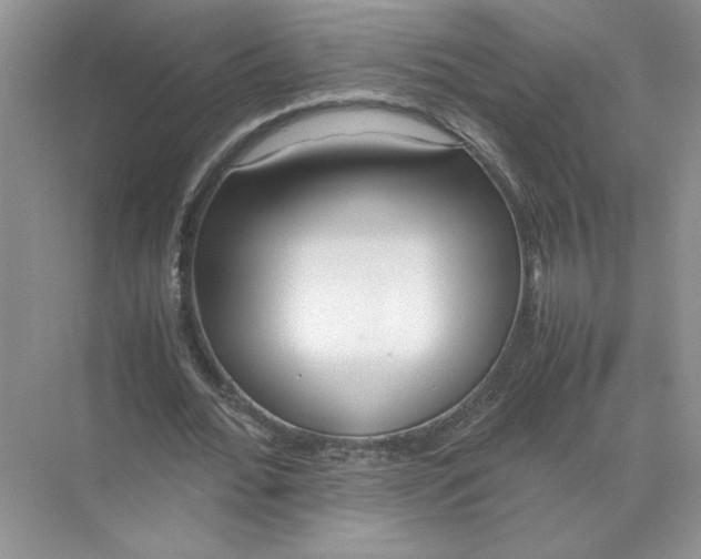 X0000072530676200607290225