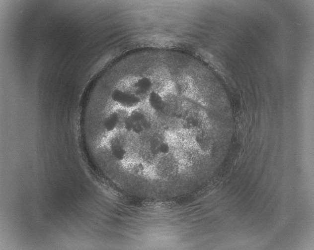 X0000072530679200607290225