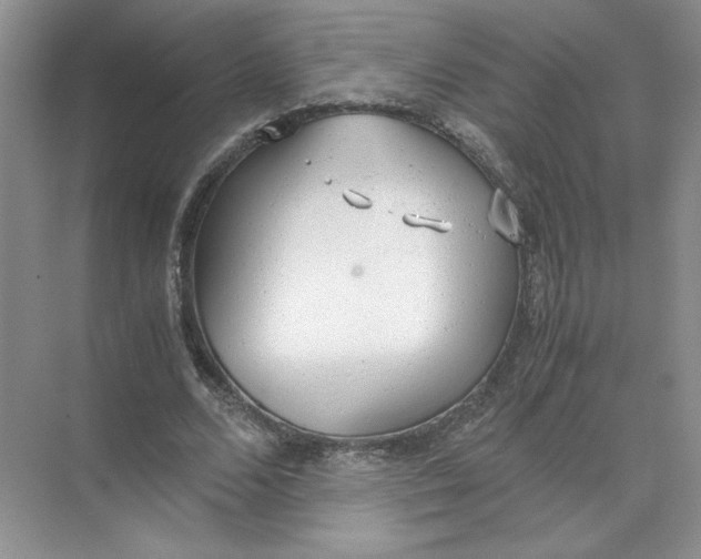 X0000072530680200607290225