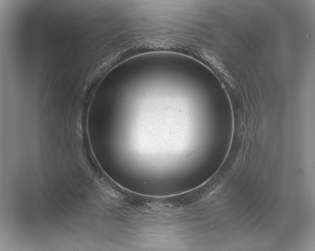 X0000072530681200607290225