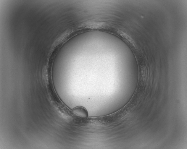 X0000072530682200607290225