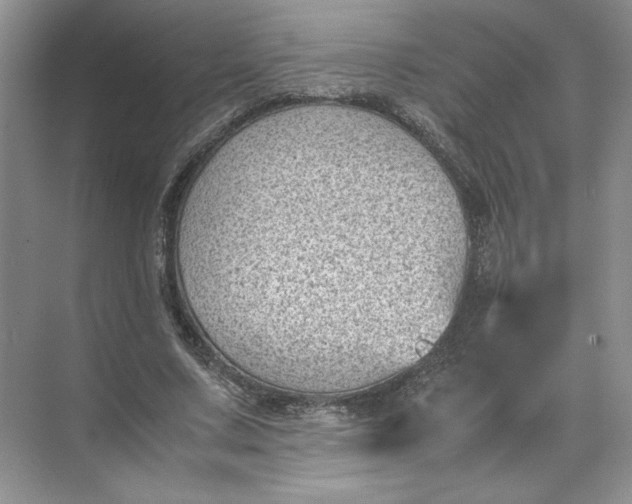 X0000072530683200607290225