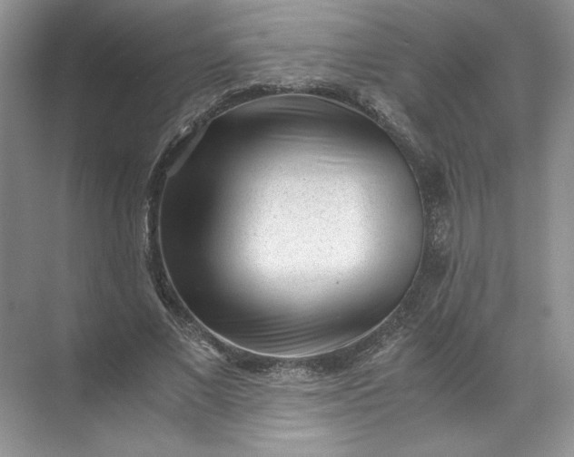 X0000072530685200607290225