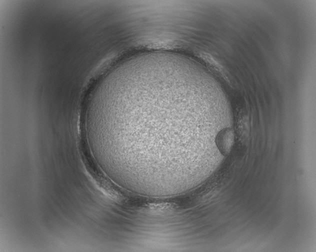 X0000072530686200607290225