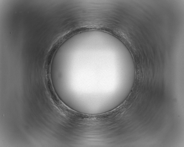 X0000072530688200607290225