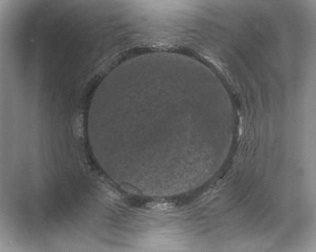 X0000072530689200607290225