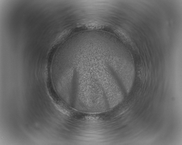 X0000072530690200607290225