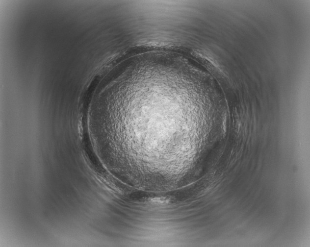 X0000072530692200607290225