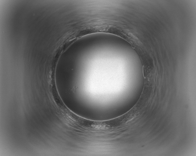 X0000072530693200607290225