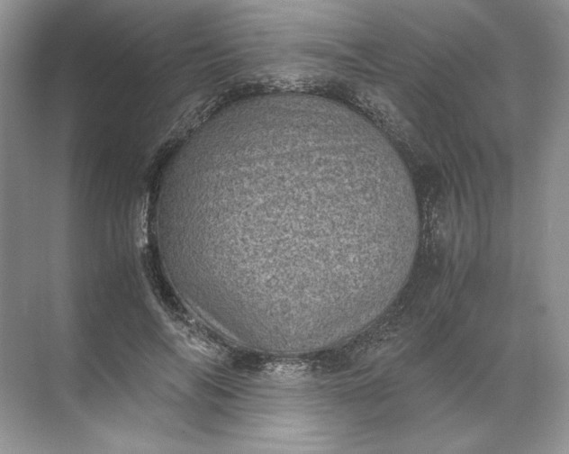 X0000072530694200607290225