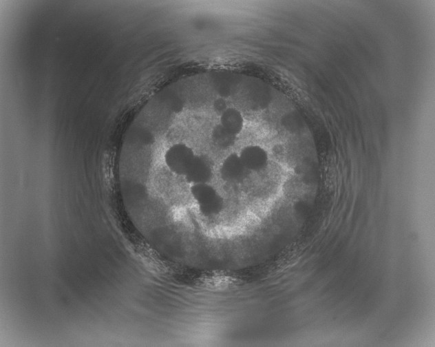 X0000072530695200607290225