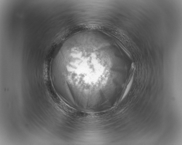 X0000072530696200607290224