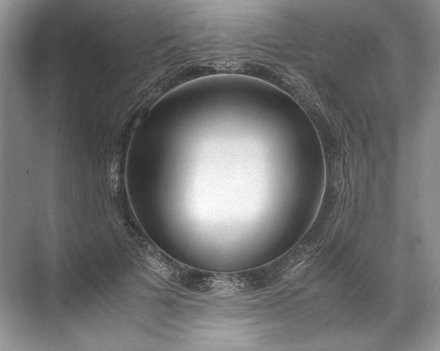 X0000072530697200607290224