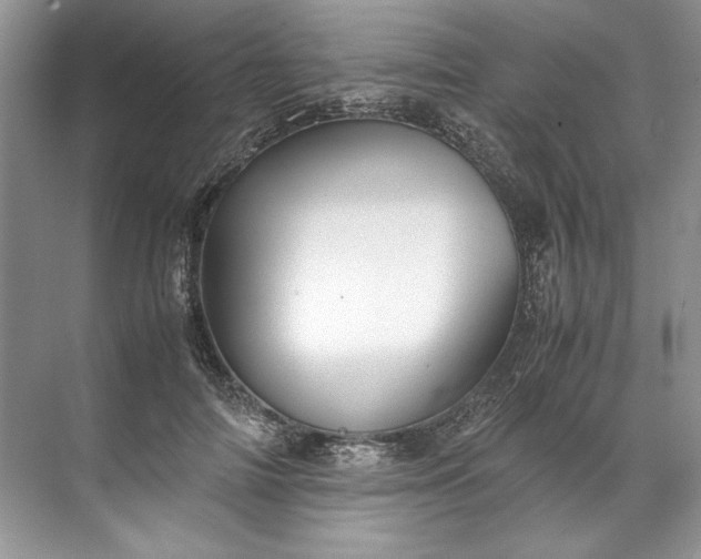 X0000072530698200607290224