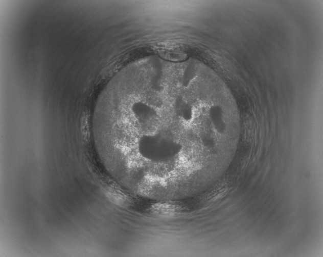 X0000072530699200607290224