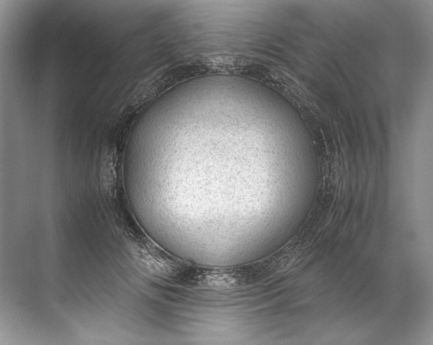 X0000072530702200607290224