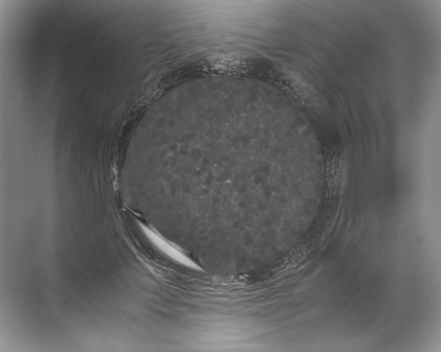 X0000072530703200607290224