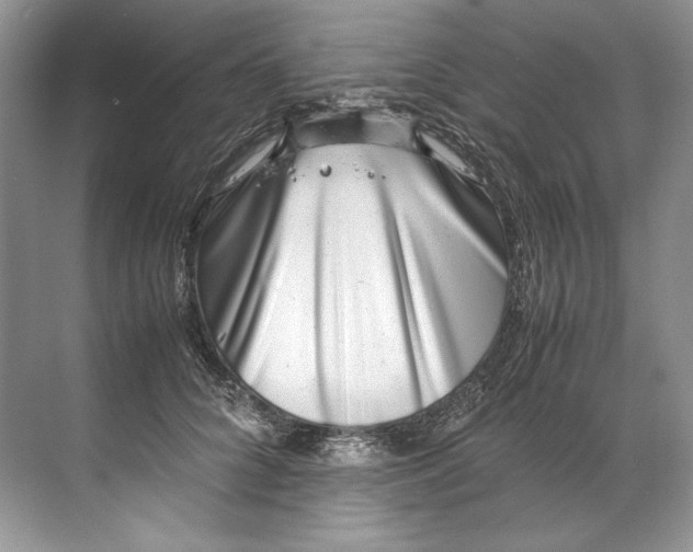 X0000072530704200607290224