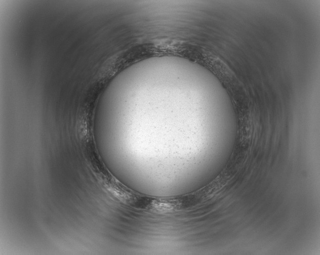 X0000072530706200607290224