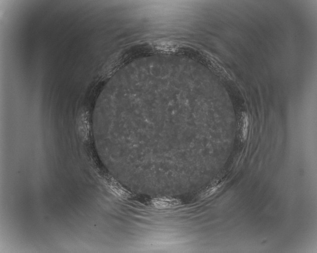 X0000072530707200607290224