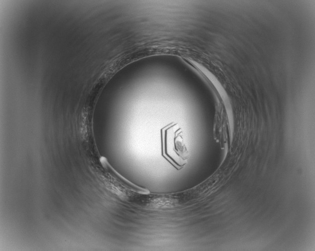 X0000072530708200607290224