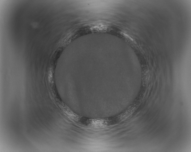 X0000072530709200607290224