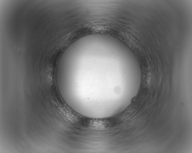 X0000072530710200607290224