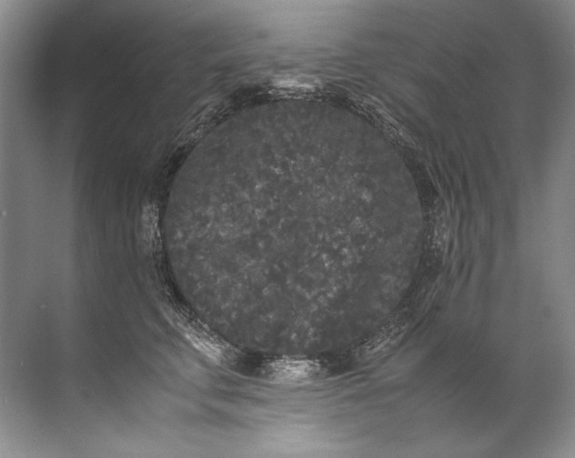 X0000072530711200607290224