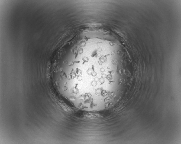 X0000072530712200607290224