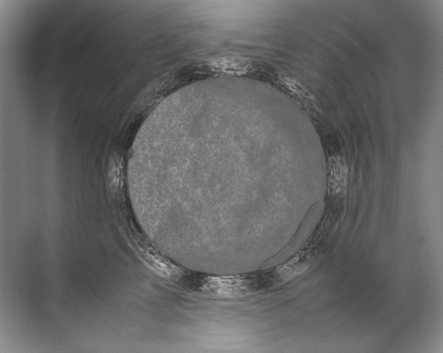 X0000072530713200607290224