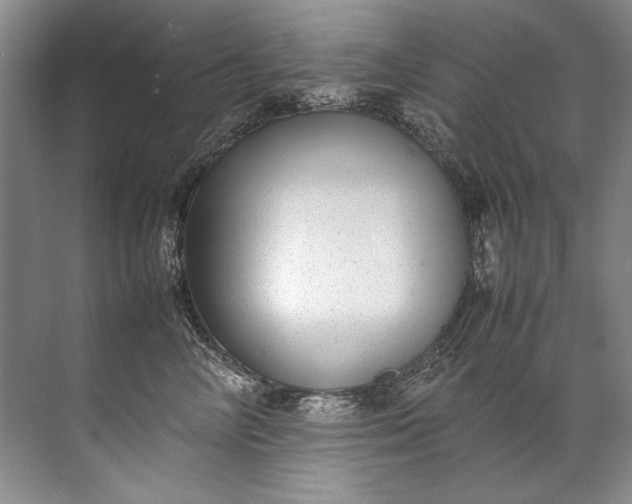 X0000072530714200607290224