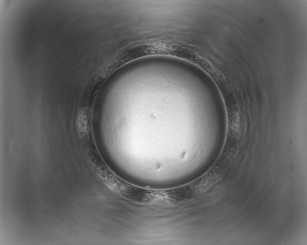 X0000072530715200607290224