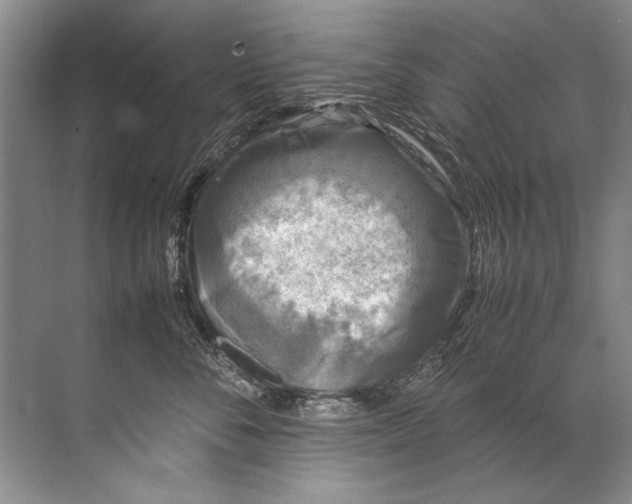 X0000072530716200607290224