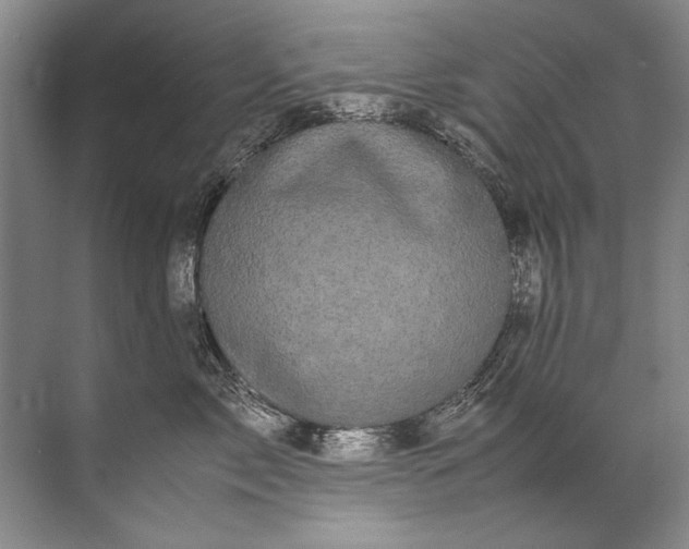 X0000072530717200607290224